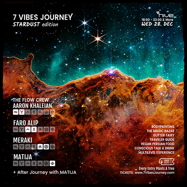 7 vibes journey stardust Party zurich